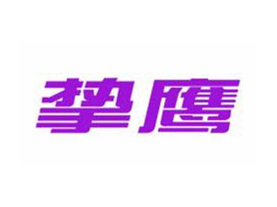 挚鹰