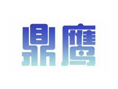 鼎鹰