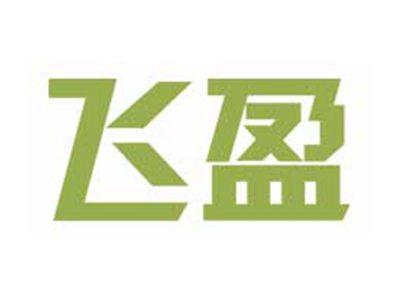 飞盈