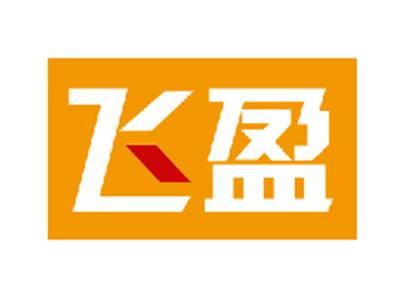 飞盈