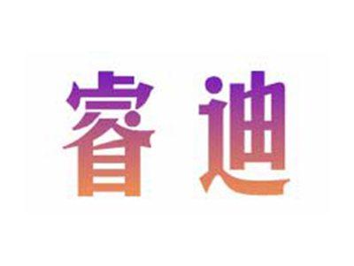 睿迪