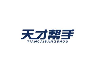 天才帮手