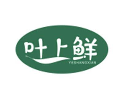 叶上鲜