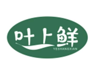 叶上鲜