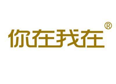 你在我在