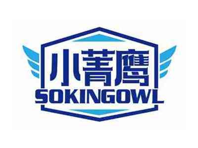小菁鹰
SOKINGOWL