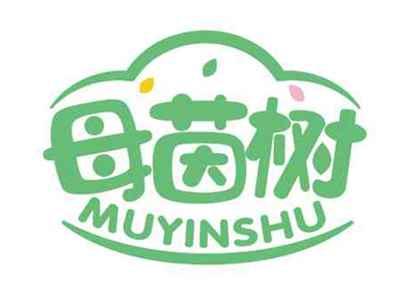 母茵树
MUYINSHU