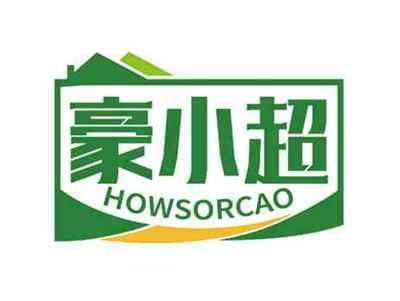 豪小超
HOWSORCAO