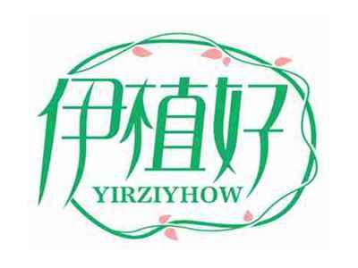 伊植好
YIRZIYHOW