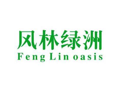 风林绿洲