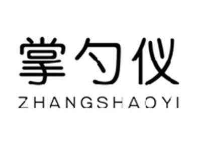 掌勺仪ZHANGSHAOYI