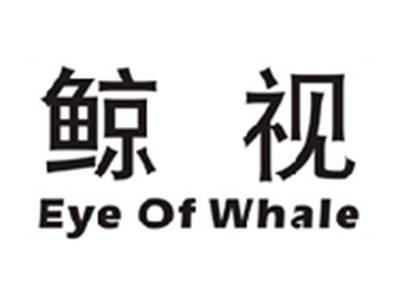 鲸视EYEOFWHALE