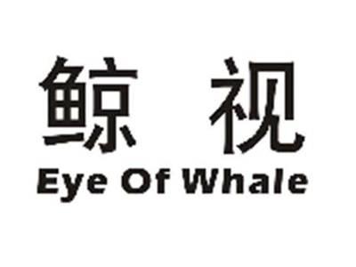 鲸视EYEOFWHALE