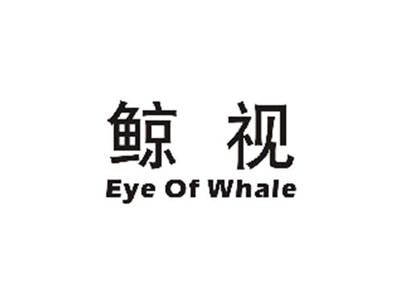 鲸视EYEOFWHALE