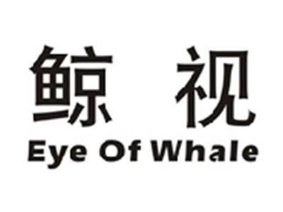 鲸视EYEOFWHALE