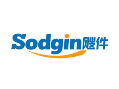 飕件Sodgin