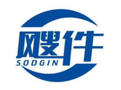 飕件Sodgin