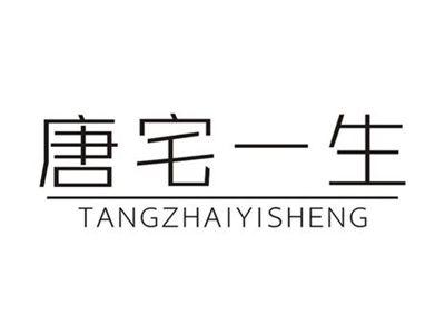 唐宅一生日本品牌三宅一生