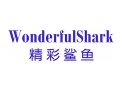 精彩鲨鱼
