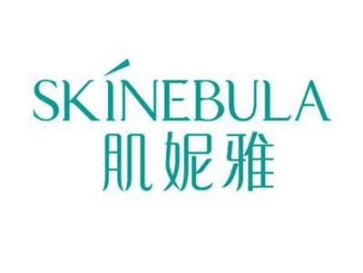 肌妮雅SKINEBULA