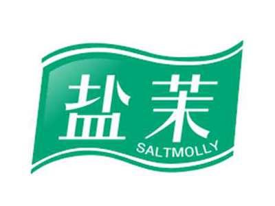 盐茉SALTMOLLY