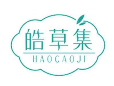 皓草集HAOCAOJI