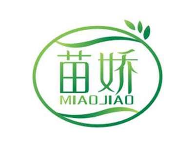 苗娇MIAOJIAO