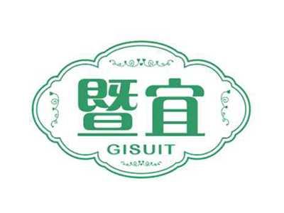 暨宜GISUIT