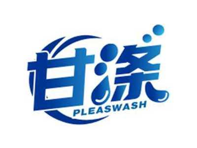 甘涤pleaswash