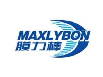 膜力棒MAXLYBON