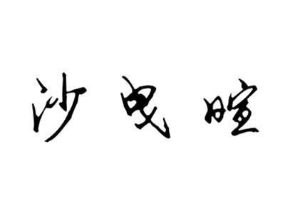 沙曳暄