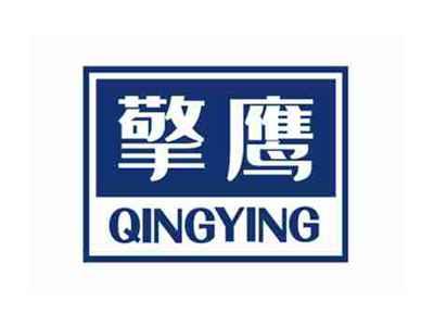 擎鹰QINGYING