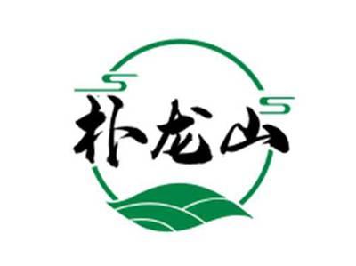朴龙山
