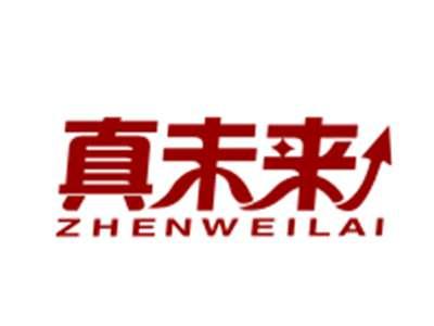 真未来