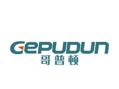 哥普顿6/9类同名