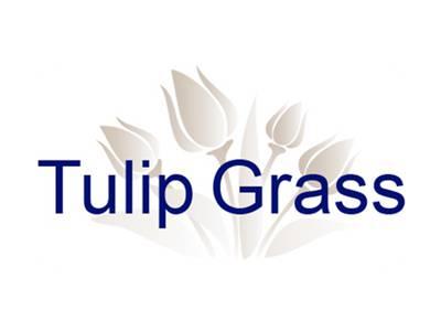 TULIPGRASS
