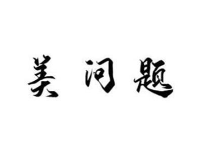 美问题