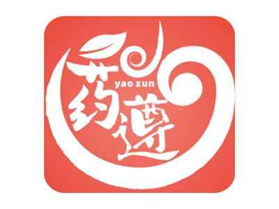 药遵