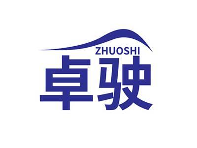 卓驶ZHUOSHI