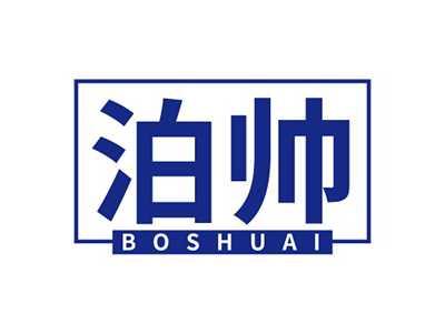 泊帅BOSHUAI