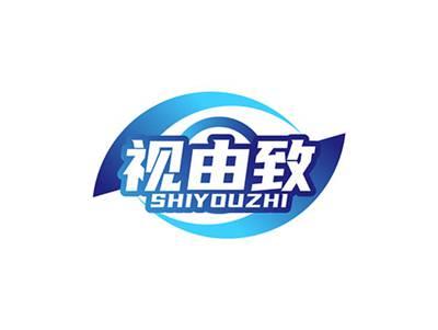 视由致SHIYOUZHI