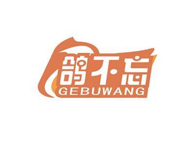 鸽不忘GEBUWANG