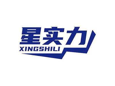 星实力XINGSHILI