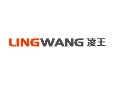 凌王