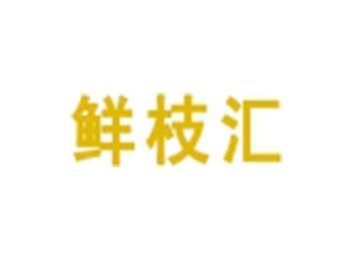 鲜枝汇
