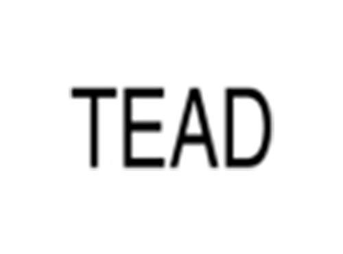 TEAD