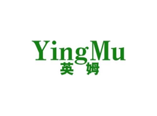 英姆