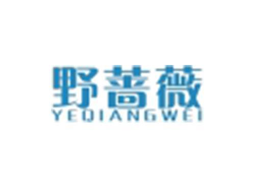 野蔷薇