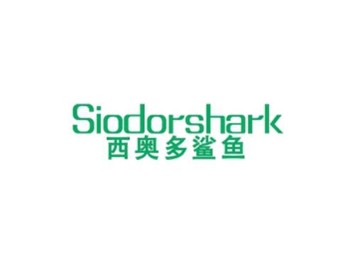 西奥多鲨鱼