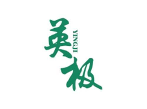 英极